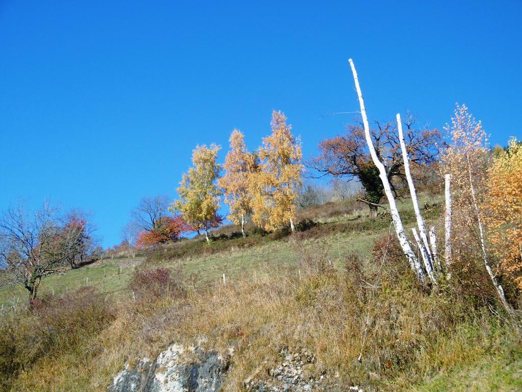 Gite Au Coeur Du Chalet En Belledonne Vers Prapoutel Les 7 Laux Sainte-Agnès Стая снимка